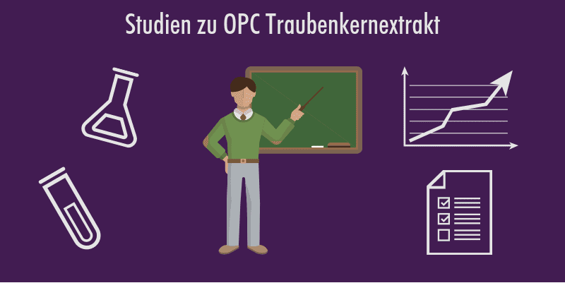 opc-traubenkernextrakt-studien Übersicht: Studien zu OPC Traubenkernextrakt